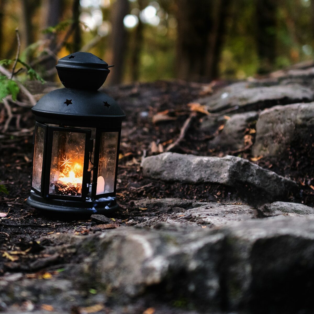 a lantern is sitting on the ground in the woods